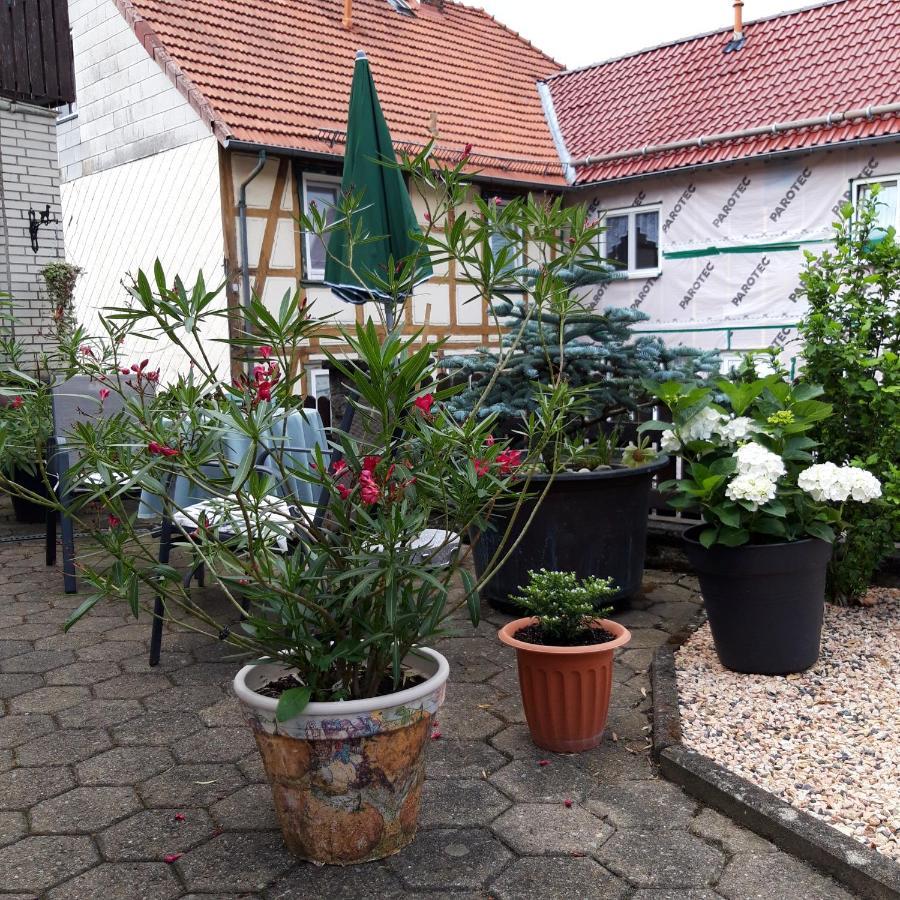 Ferienwohnung Am Berge Wolfshagen  Exterior foto